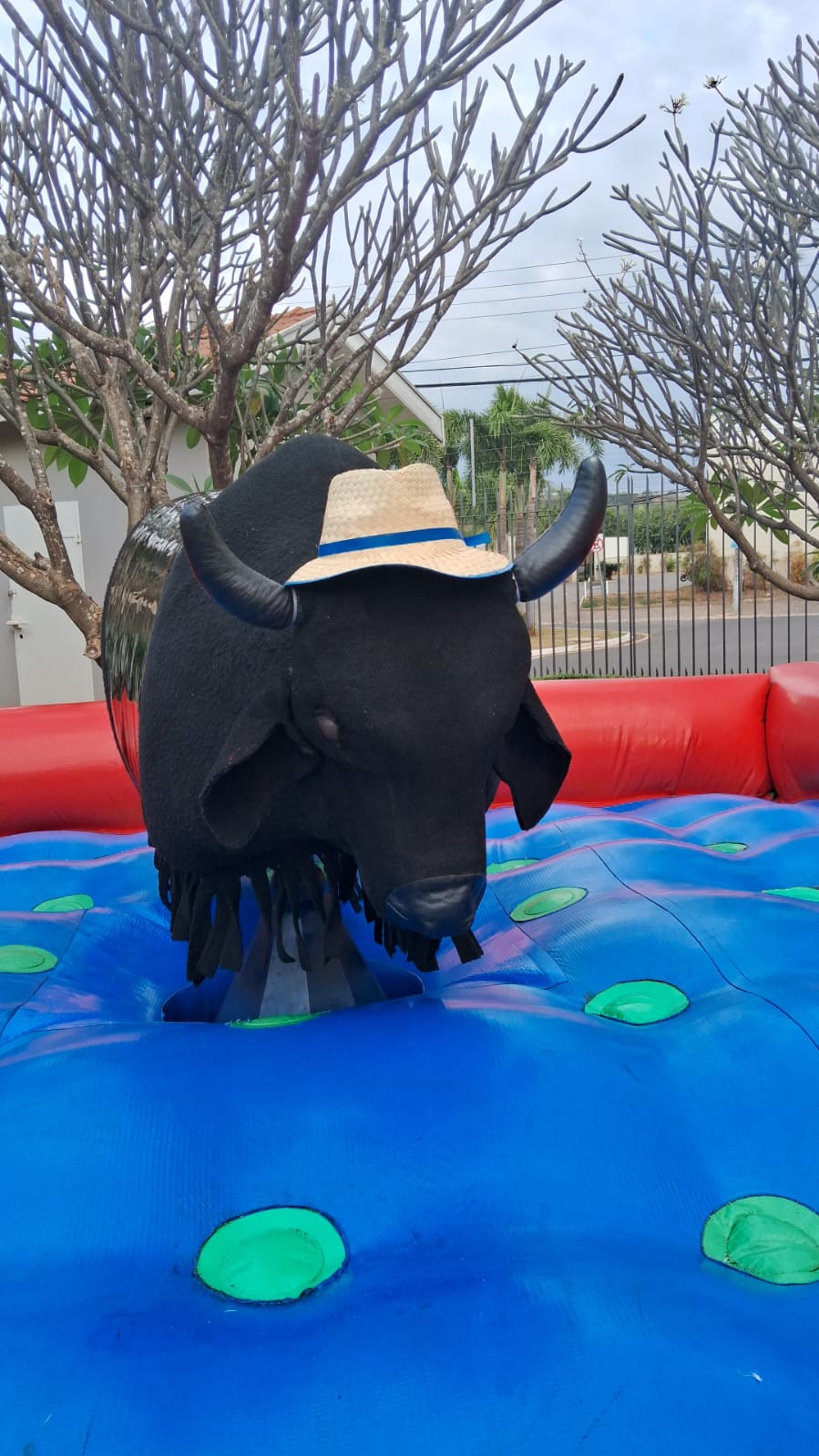 WhatsApp Image 2024-09-06 at 14.56.48.jpeg