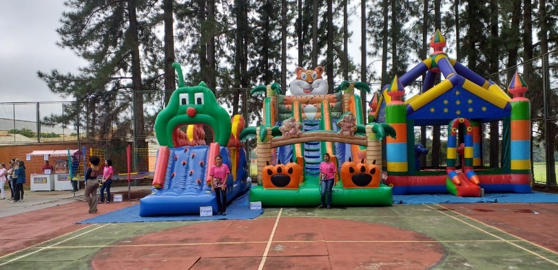 aline brinquedos pira